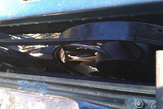Барс