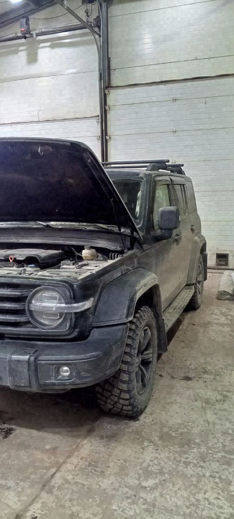 Tank 300 (тёмно-серый) — фото 1 работ в Custom's Tuning, Тюмень